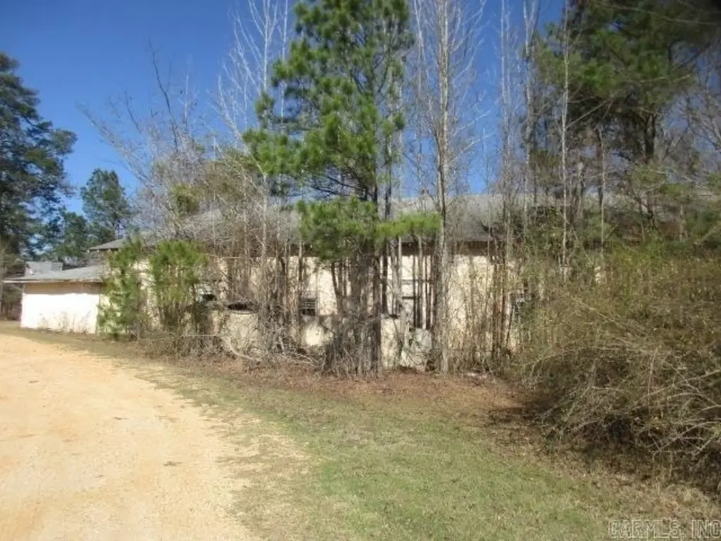 Picture 5