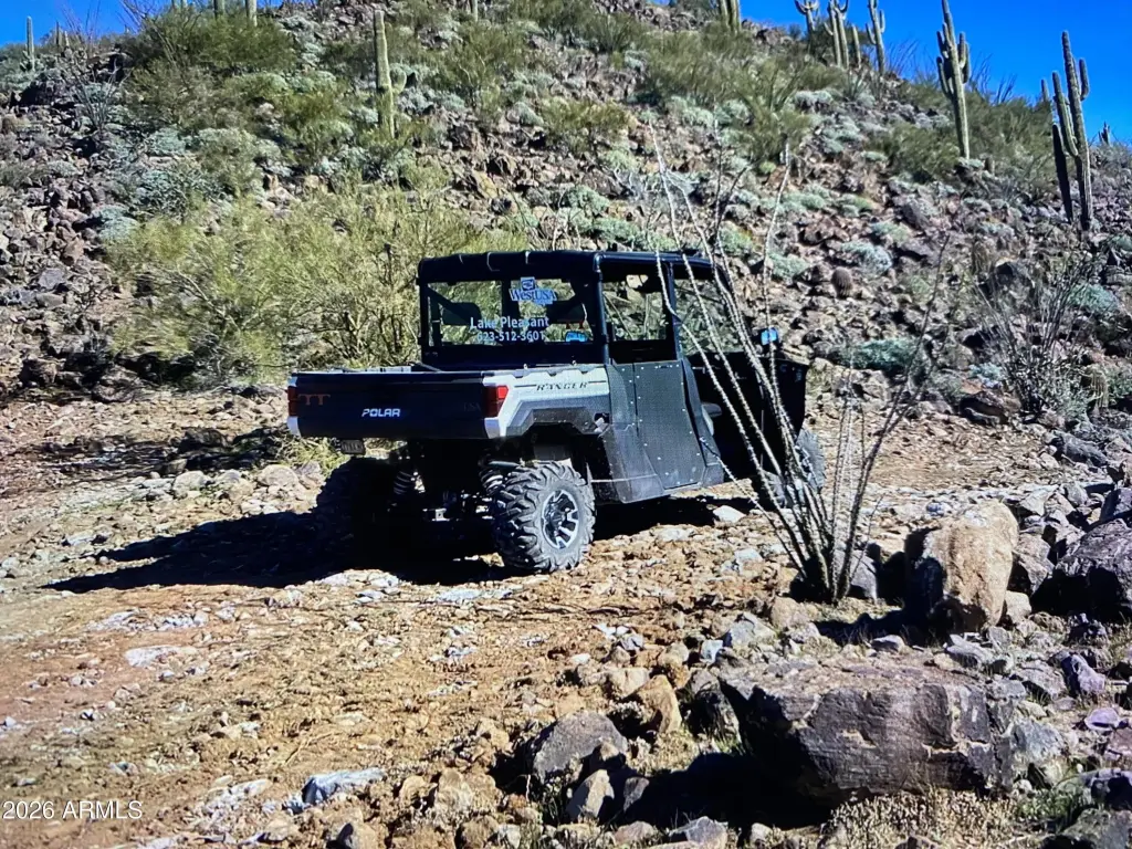 Picture 20
