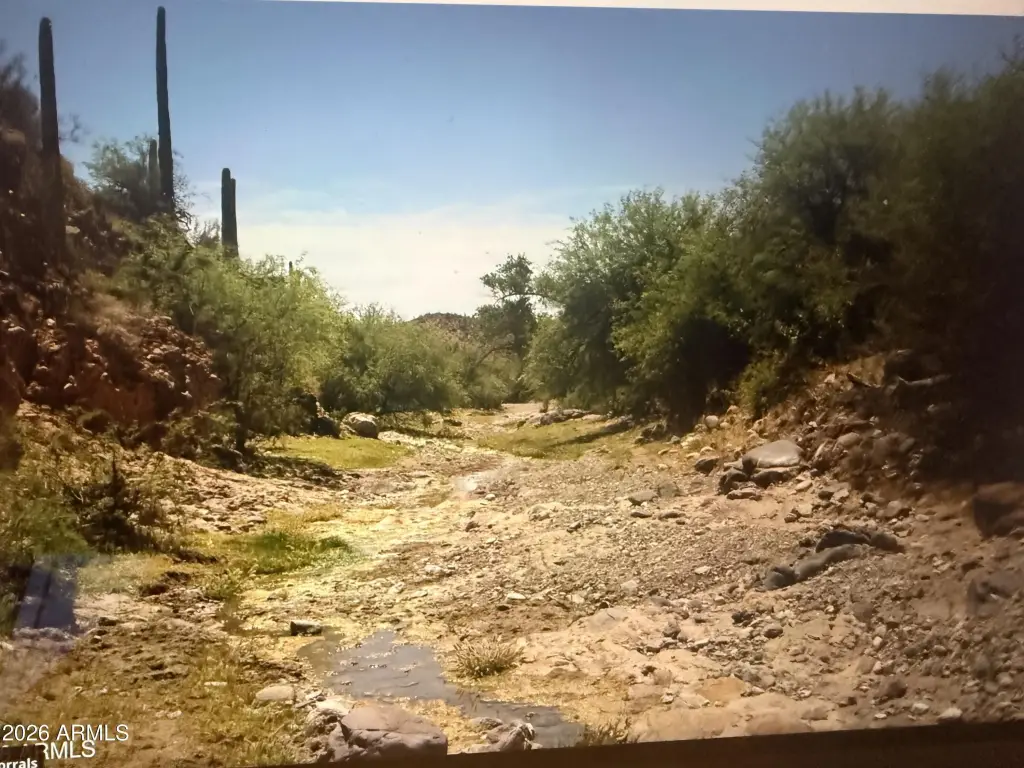 Picture 41