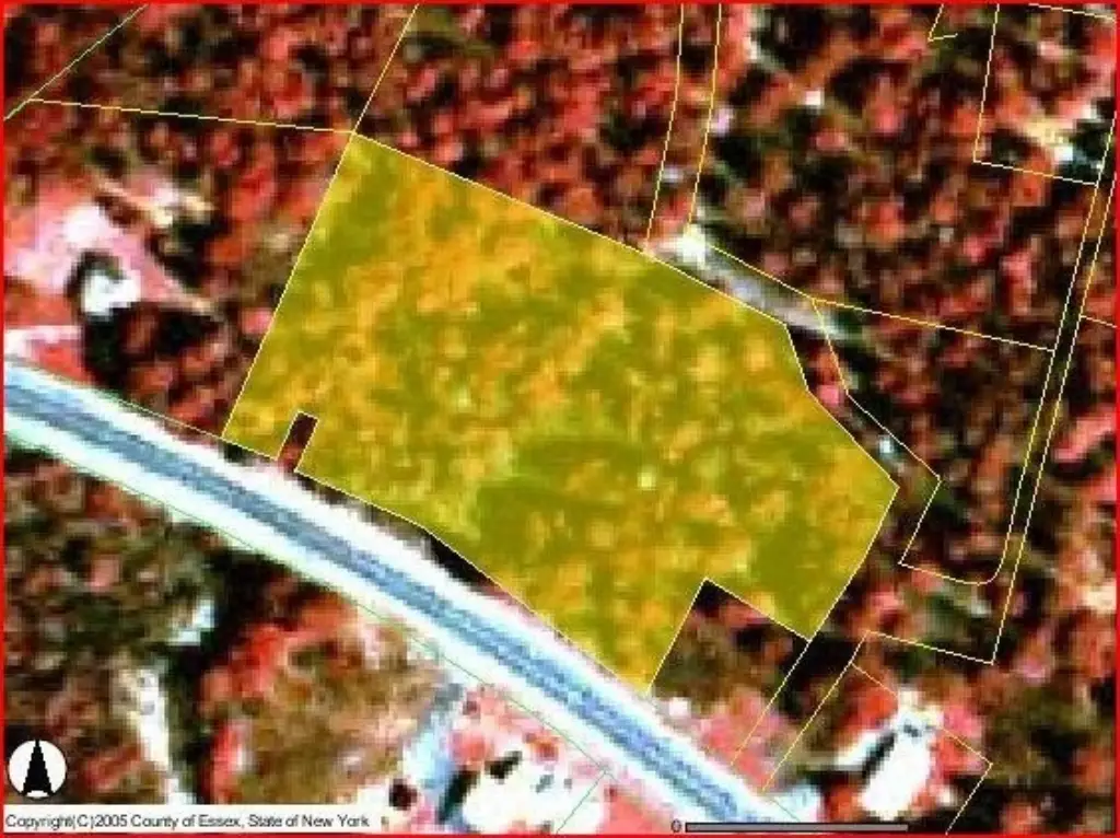 Picture 2