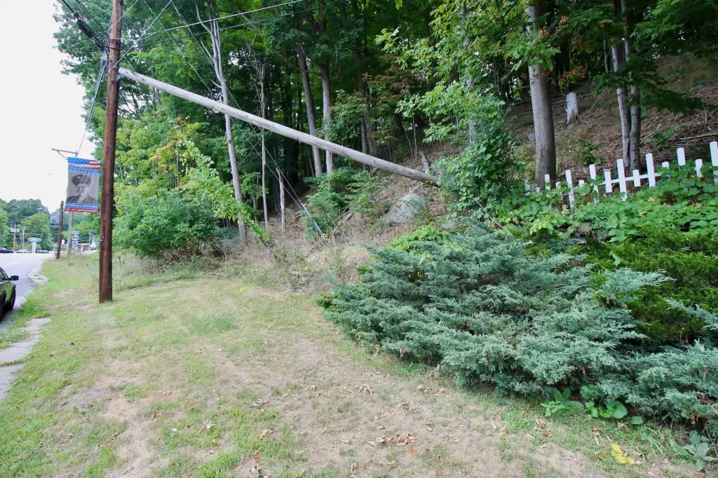 Picture 6