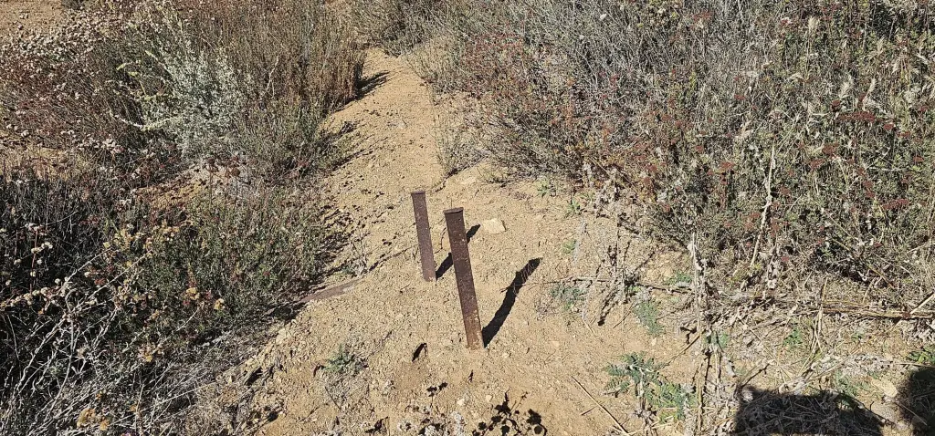 Picture 5
