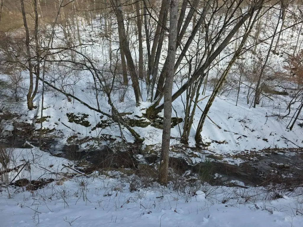 Picture 3