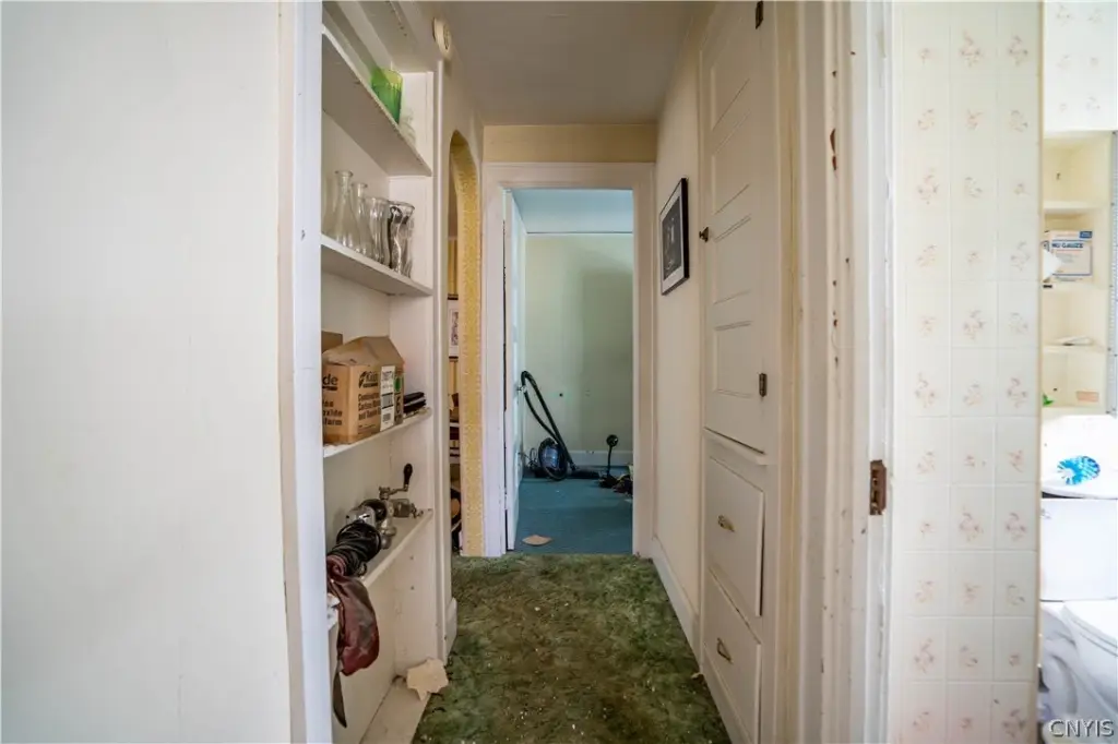 Picture 8