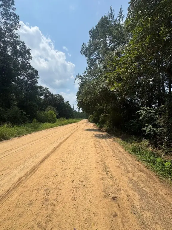 Picture 2