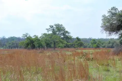 Rural Land in Ranch Community