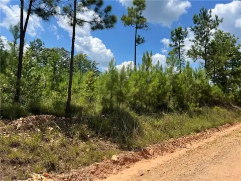 Picture of Land at Lee Road 254 5115, Salem, AL