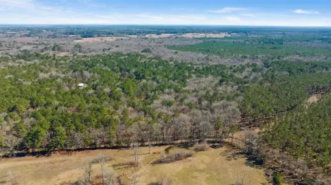 60 Acres of Versatile Texas Land