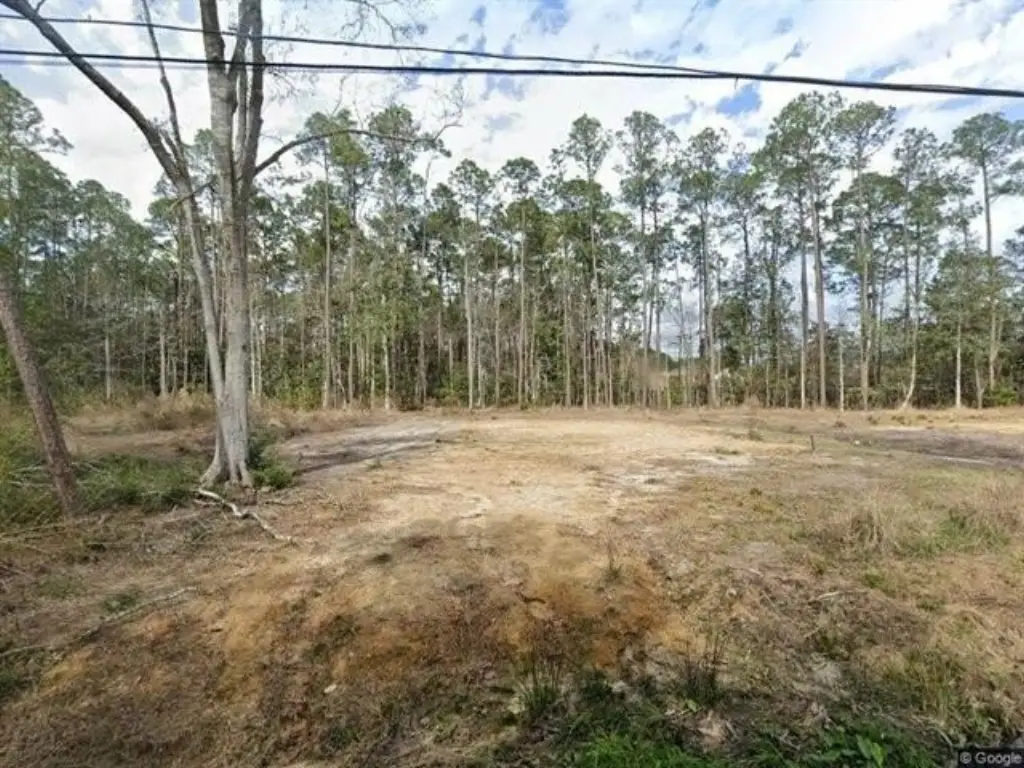 Picture 2
