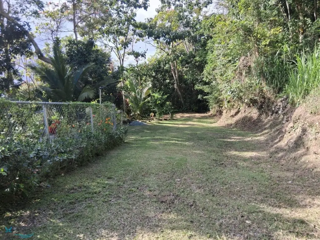 Picture 4