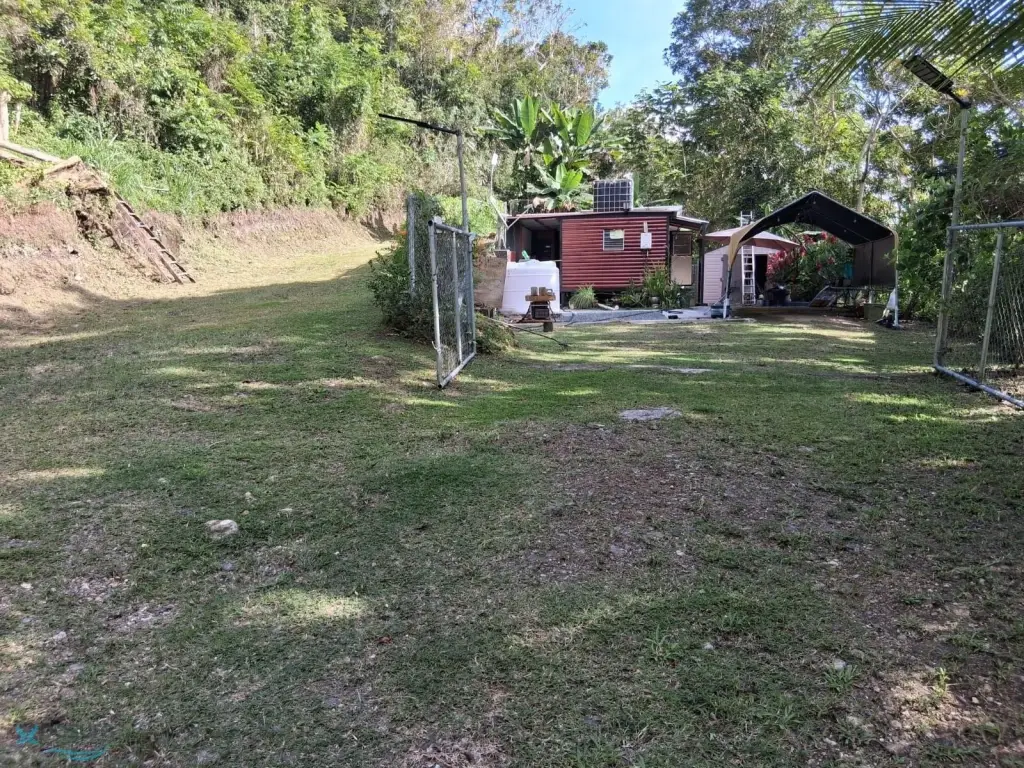 Picture 5