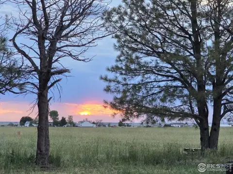 40 Acres of Colorado Land