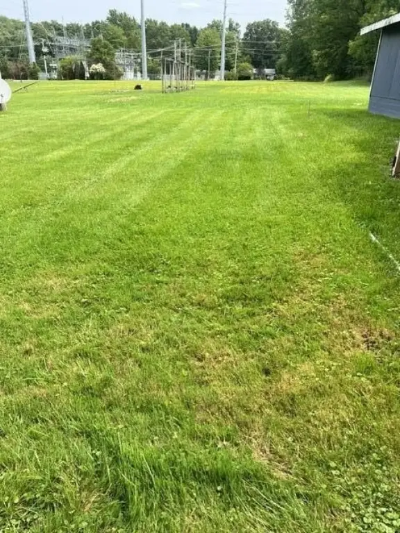 Picture 10