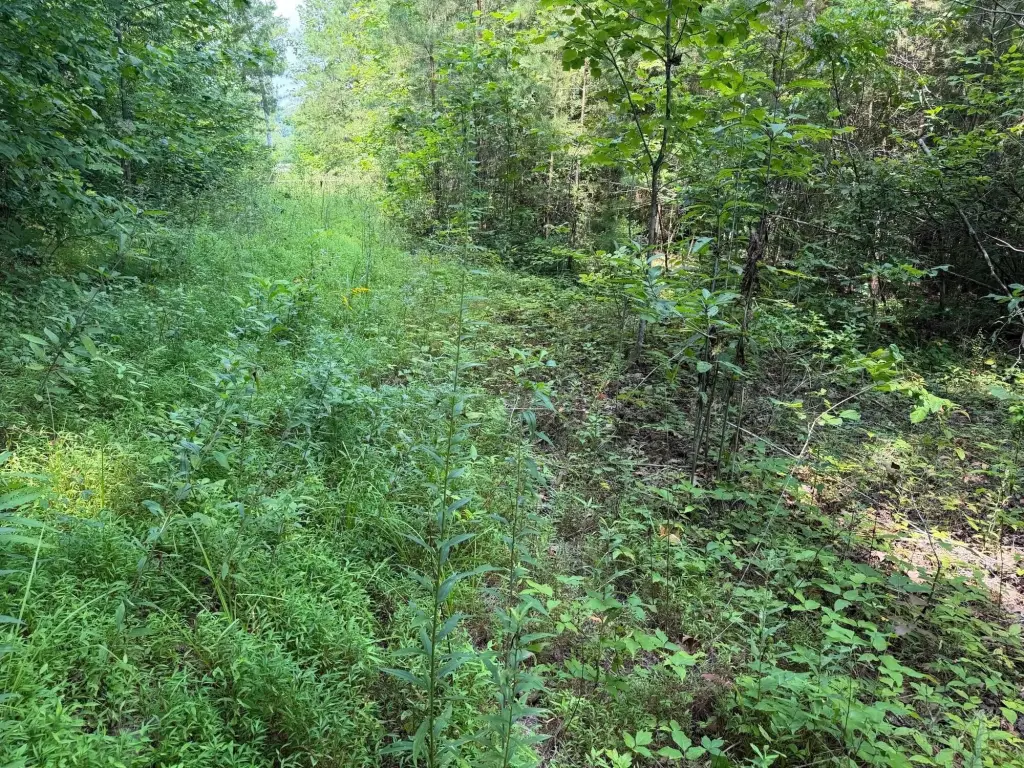 Picture 6