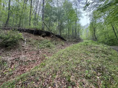 Secluded Wooded Acreage in Del Rio