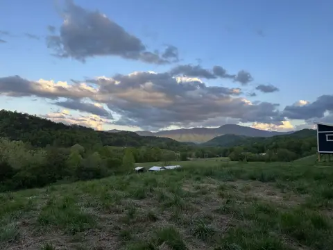 Unrestricted Land with Creek Frontage