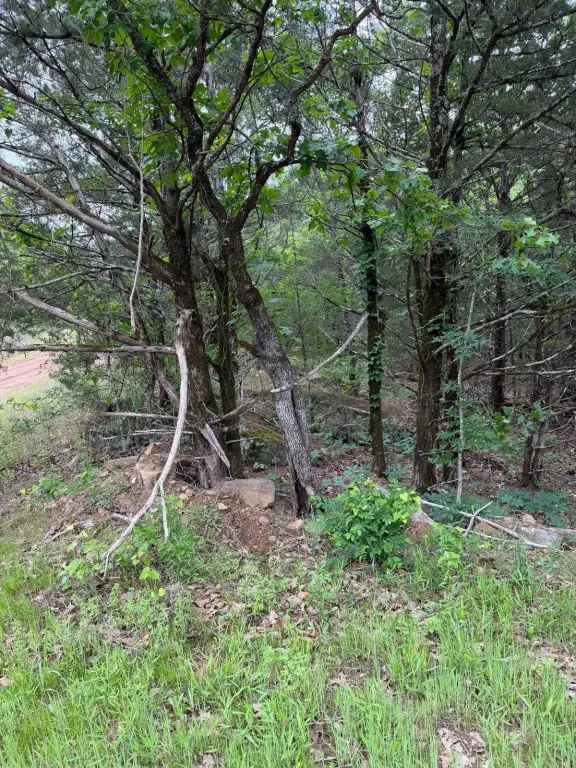 Picture 21