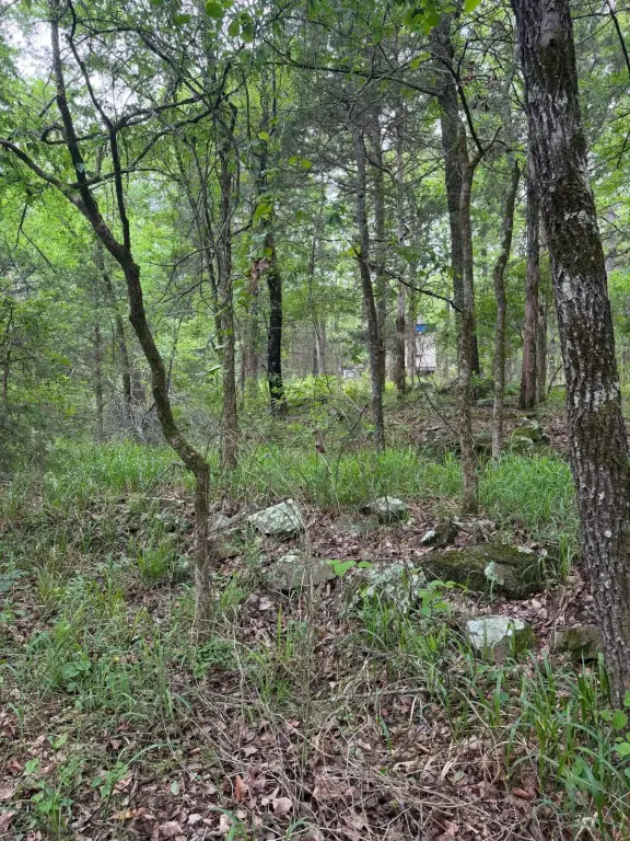 Picture 28