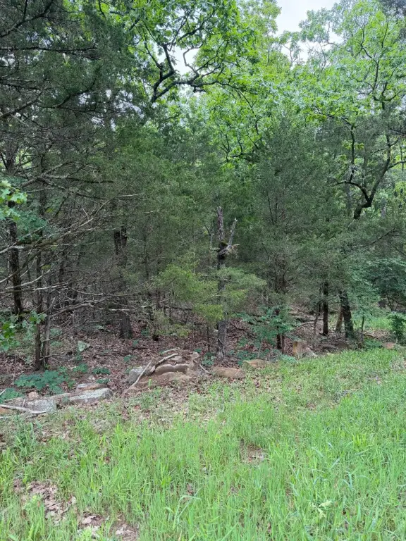 Picture 15