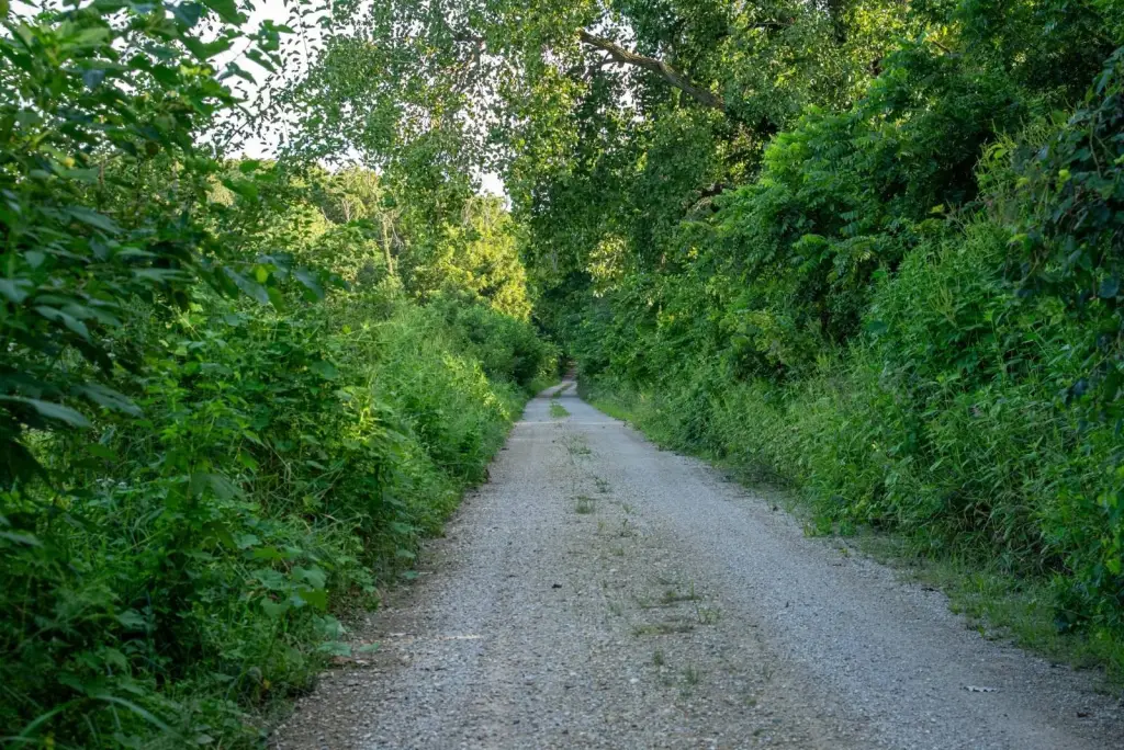 Picture 11