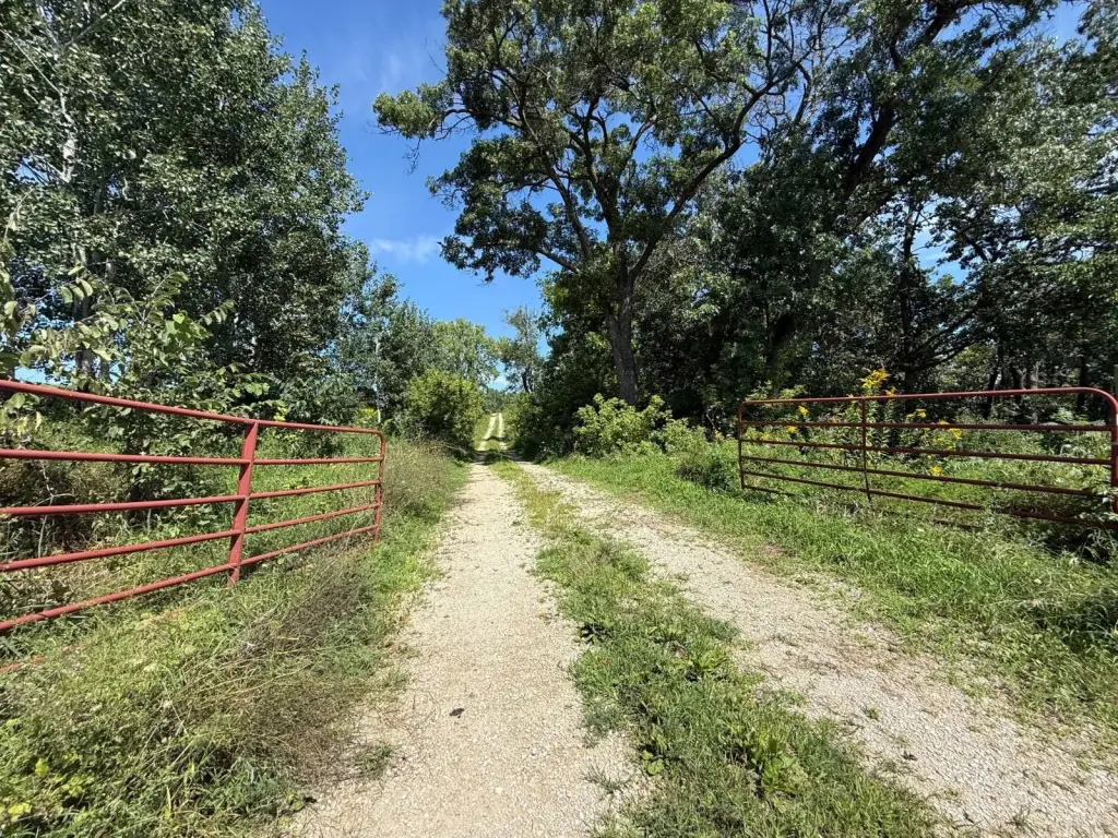 Picture 27
