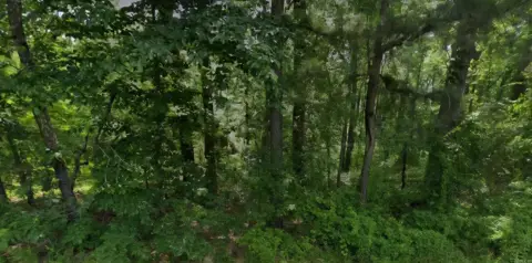 Residential Lot in Pine Bluff