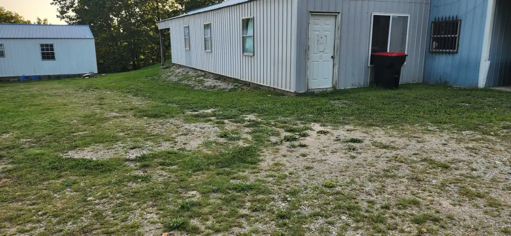 Picture 5