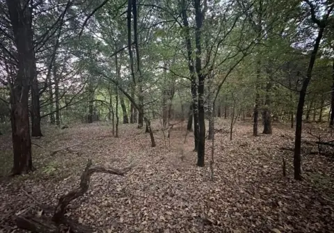 Oversized Corner Lot in Rock Creek