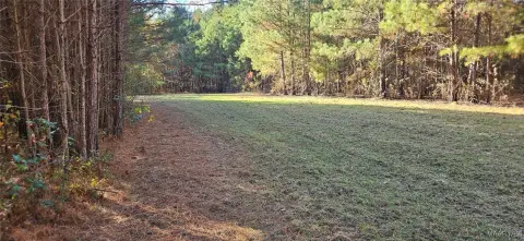 20 Acres Hunting Land