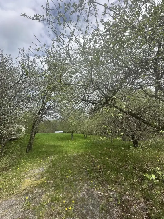 Picture 4