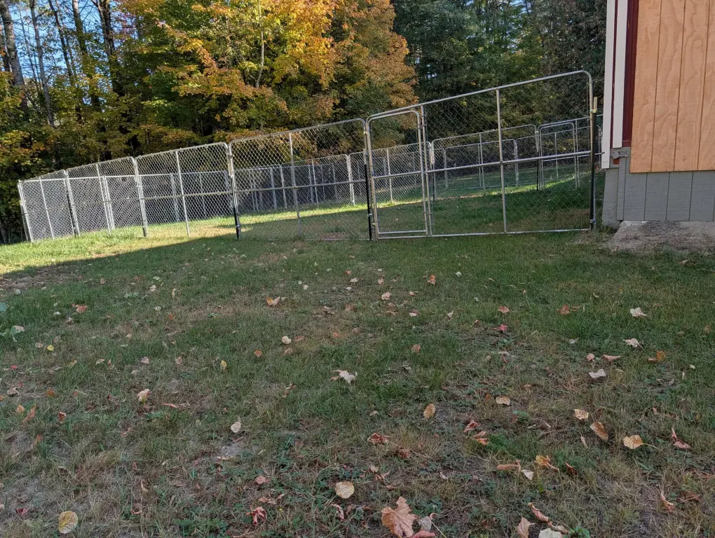 Picture 5