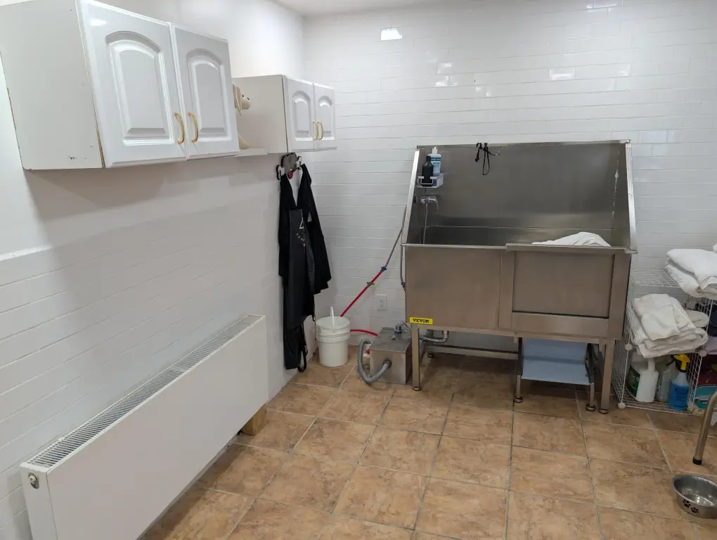 Picture 10