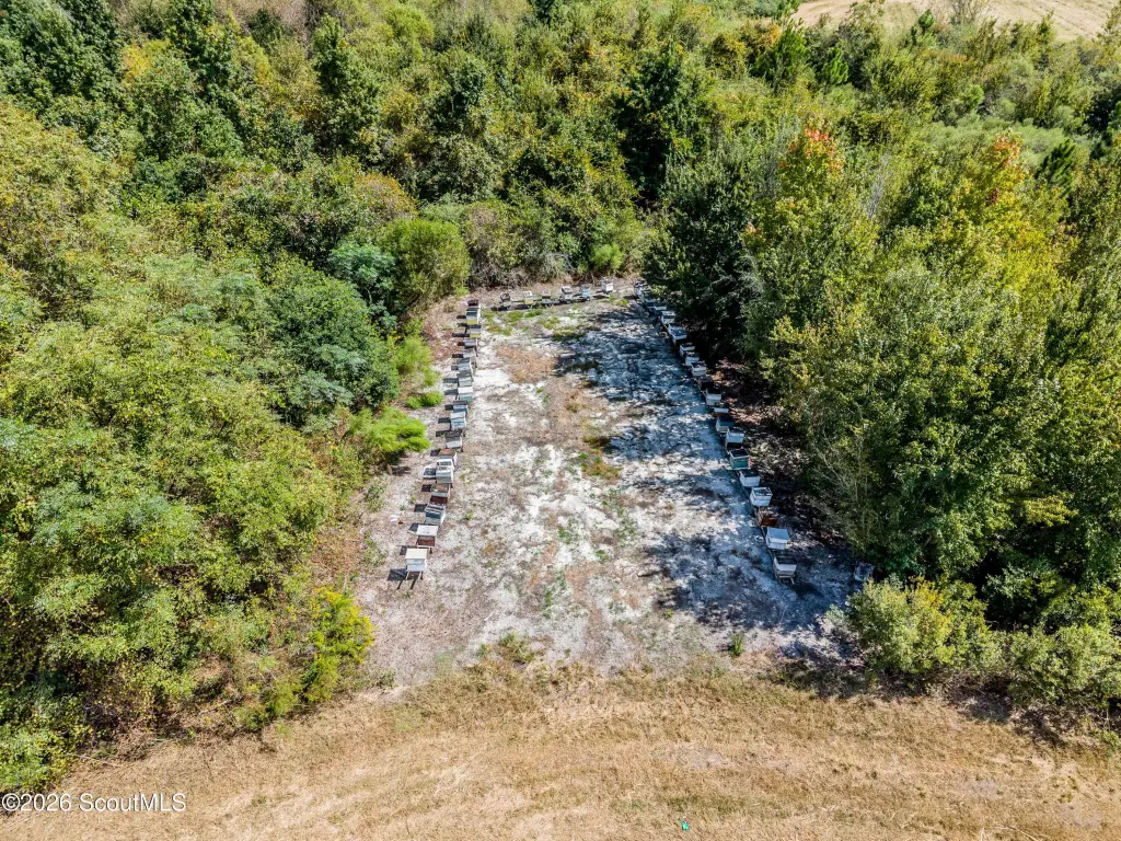 Picture 4