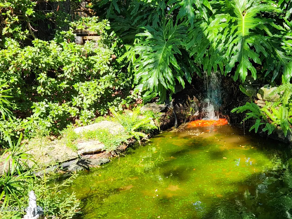 Picture 11