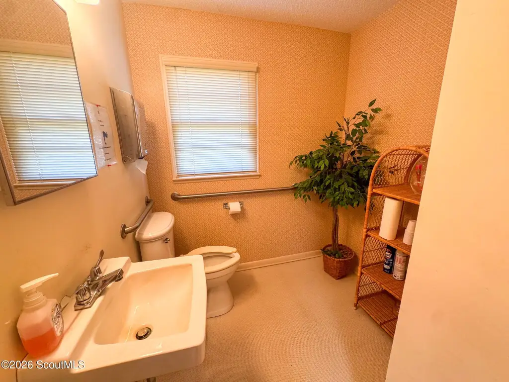 Picture 12