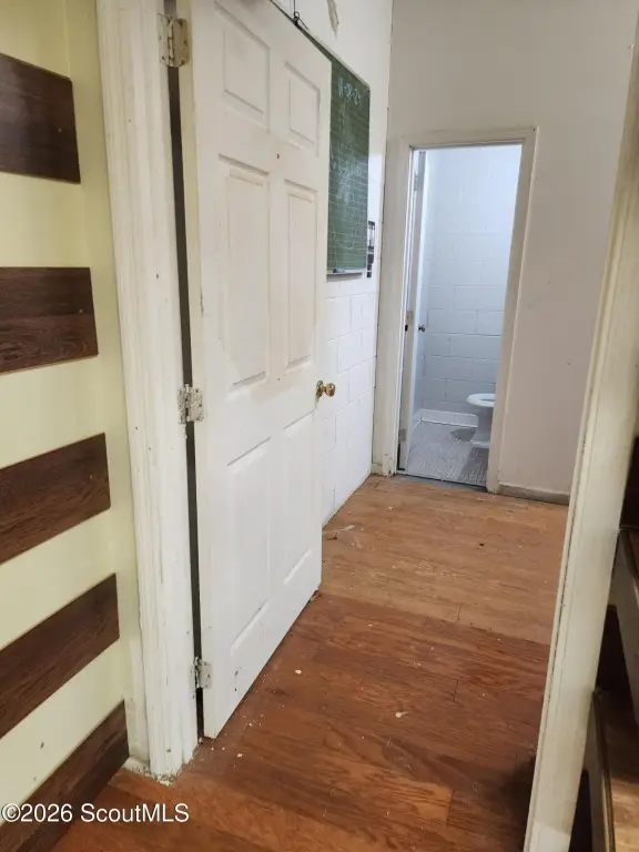 Picture 11