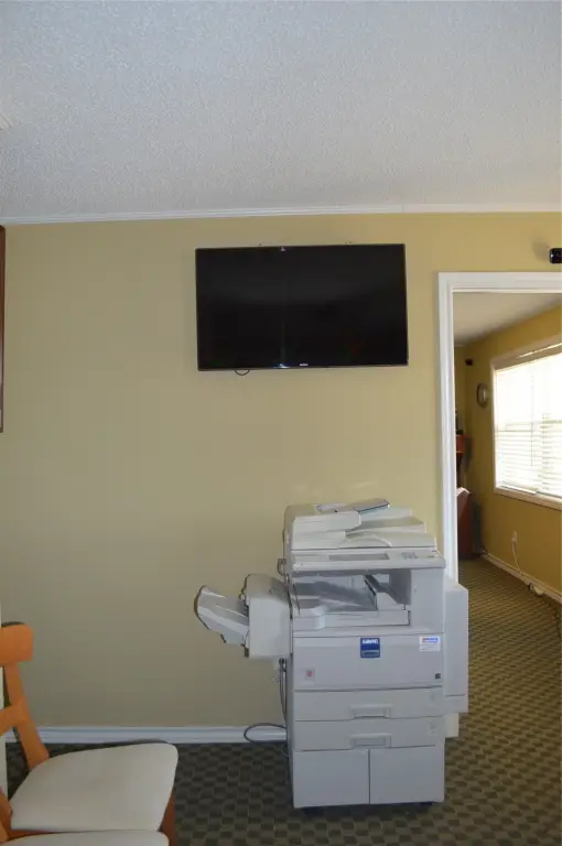 Picture 8