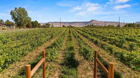 Palisade, CO Land Parcel