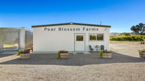Operating Farm with Food Facilities
