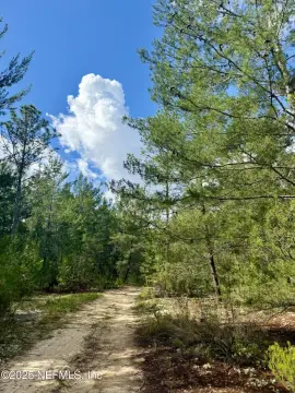 Land in Hawthorne, Florida