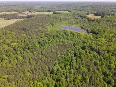 Zebulon Homesite with Acreage
