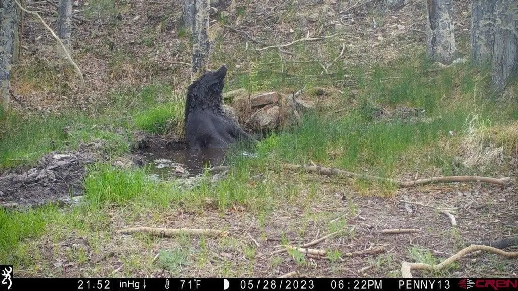 Picture 34