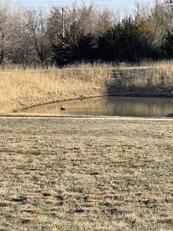 Picture 6