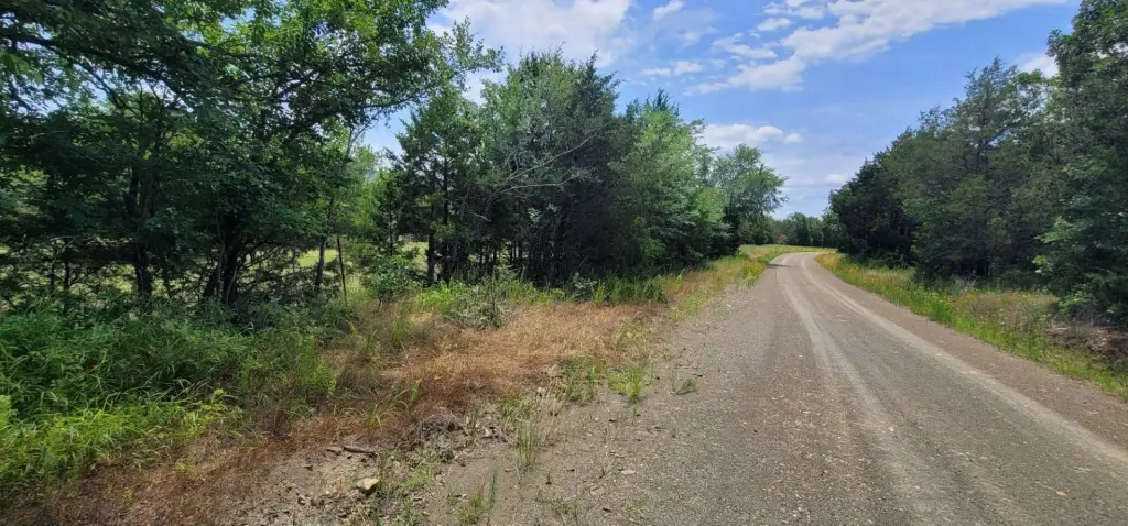 Picture 16
