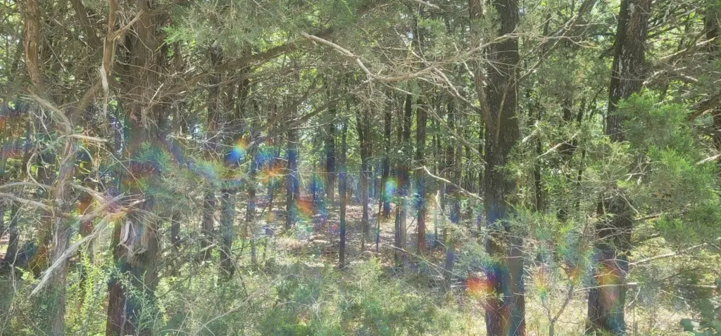 Picture 13