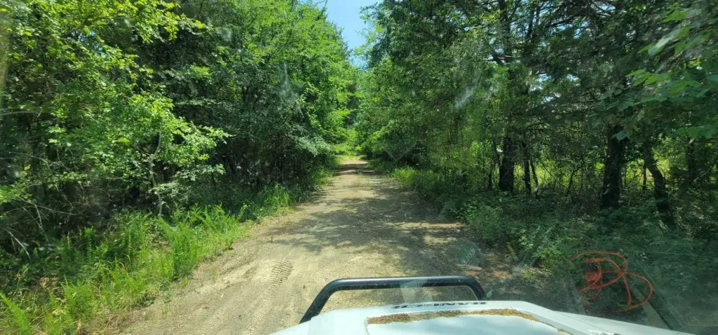 Picture 3