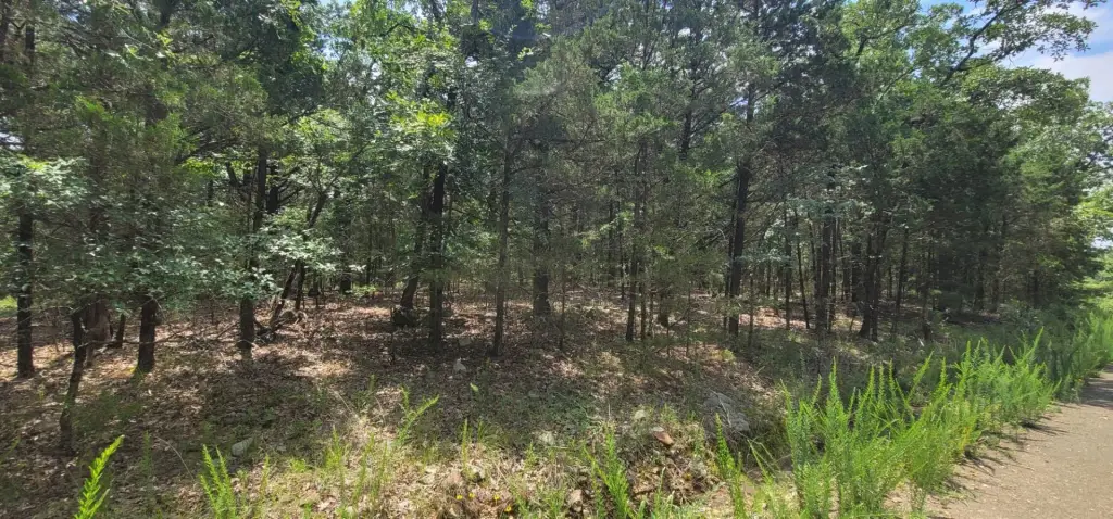 Picture 19