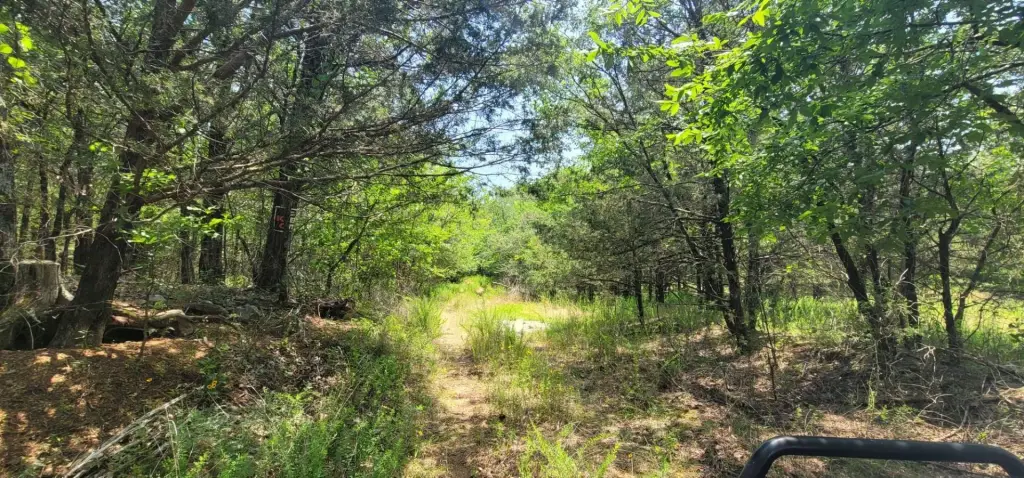 Picture 6