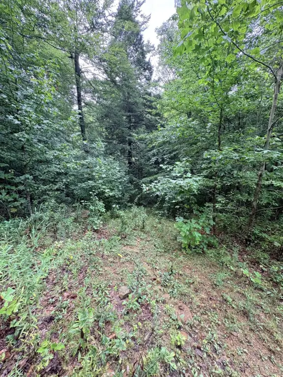 Picture 15