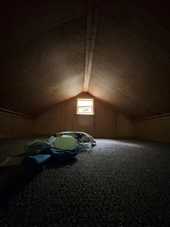 Picture 21